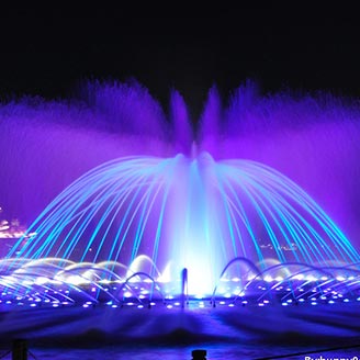 Ȫ˾ļҺõȪ˾Ӧ߱㣡