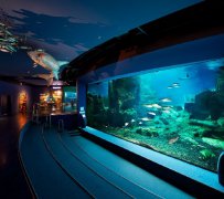 ôע⼸ҪƷʺ£